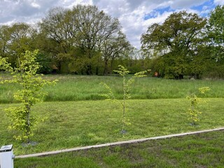 Casa per le vacanze Bockhorn Registrazione all'aperto 5