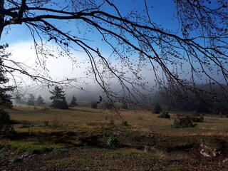 Am Sternberg