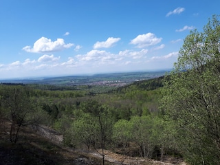 Egal ob Frühling.......