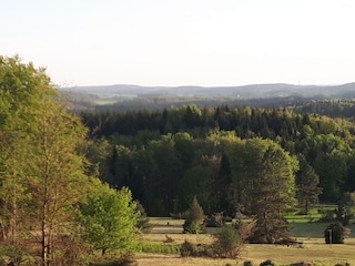 Wachhoderheide am Sternberg