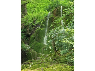 Gütersteiner Wasserfall(Sommer)