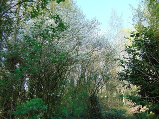 Parc de vacances Brecht Environnement 8