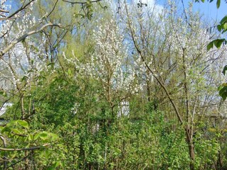 Holiday park Brecht Environment 9