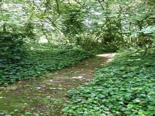 Parc de vacances Brecht Environnement 16