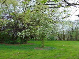Ferienpark Brecht Umgebung 11