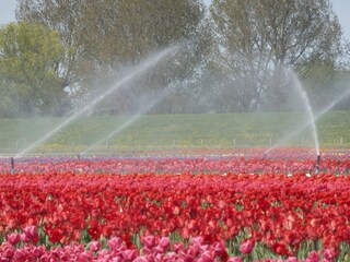 Casa per le vacanze Callantsoog Ambiente 21