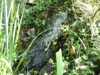 Parc de vacances Brecht Environnement 11