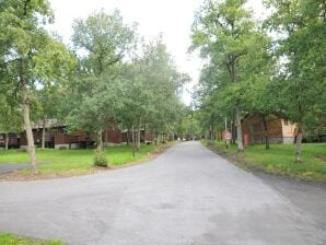 Parc de vacances Chalet confortable en bois, terrasse - Somme Leuze - image1