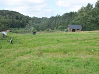 Vakantiepark Somme-Leuze  36