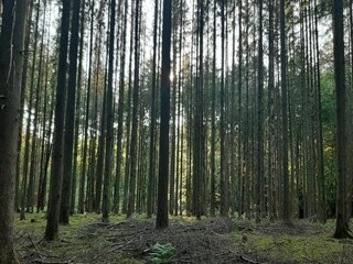Parc de vacances Somme-Leuze Environnement 25