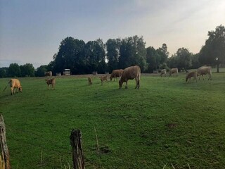 Ferienpark Somme-Leuze Umgebung 28