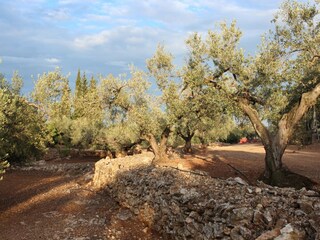Casa per le vacanze L'Ampolla Registrazione all'aperto 11