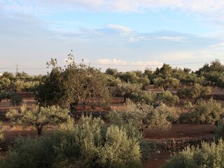 Casa per le vacanze L'Ampolla Ambiente 30