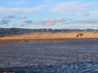 Casa per le vacanze L'Ampolla Ambiente 32