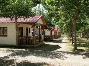 Vakantiepark Bungalow met terras in de regio Aragon - La Puebla de Roda - image1