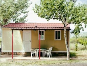 Vakantiepark Verzorgd ingericht chalet met overdekt terras - La Puebla de Roda - image1