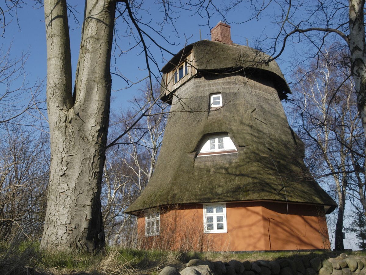 Fischlandmühle im Frühling