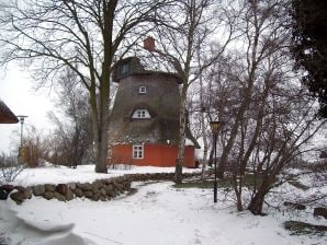 Ferienhaus Fischlandmühle - Wustrow - image1