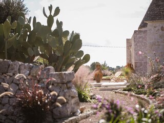 Maison de vacances Cisternino  21