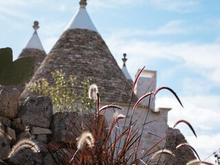 Vakantiehuis Cisternino  17