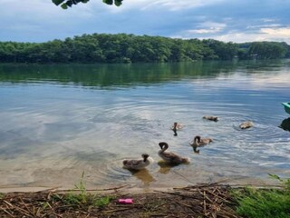 Bungalow Lubiszyn Umgebung 35