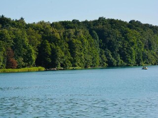 Bungalow Lubiszyn Environment 38