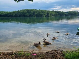 Bungalow Lubiszyn Environnement 22