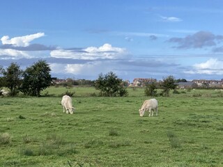 Casa per le vacanze Villers-sur-Mer Ambiente 11