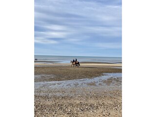 Casa per le vacanze Villers-sur-Mer Ambiente 15