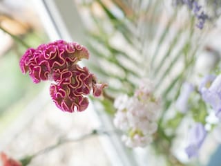 Vakantiepark Delfstrahuizen  31