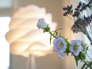 Vakantiepark Delfstrahuizen  36