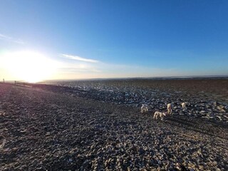 Ferienpark Delfstrahuizen Umgebung 22