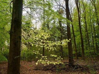 Parc de vacances Delfstrahuizen Environnement 31