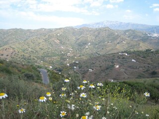 Villa Sayalonga Environment 35