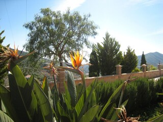 Villa Sayalonga Buitenaudio-opname 1