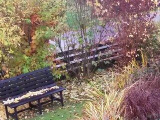 Autumn mood at the pond