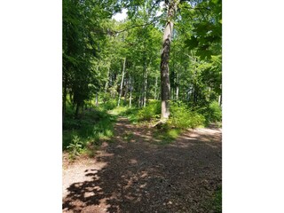 Hiking on a spring day