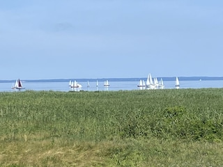 Segelregatta vom Balkon aus beobachtet