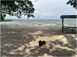 Waldbadestelle Siedlung Altwarp, Hund sind erlaubt