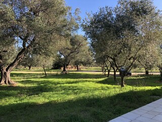 Casa de vacaciones Manduria Grabación al aire libre 10