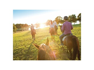 Villa Funtana Ambiente 39