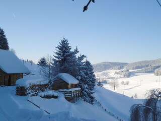 Ferienwohnung Titisee-Neustadt Außenaufnahme 10