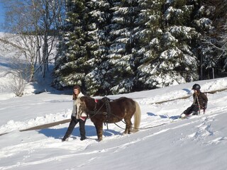 Winter mit Schlittenfahrt