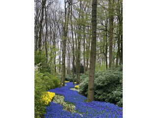 Vakantiehuisje Hillegom Omgeving 15