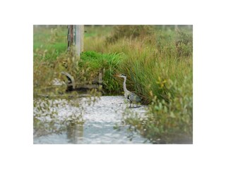 Casa vacanze Hillegom Ambiente 12