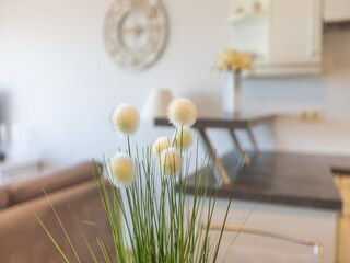 Appartamento Middelkerke Caratteristiche 16