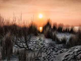 Villa De Haan Omgeving 31