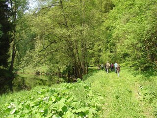 Vakantiehuis Malberg in der Eifel Omgeving 34