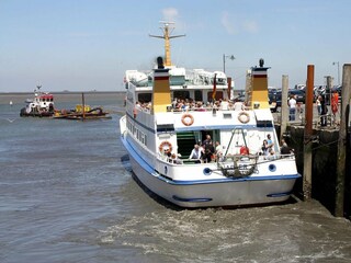 Vakantiehuis Neukirchen in Nordfriesland  34