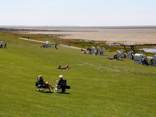 Vakantiehuis Neukirchen in Nordfriesland  36